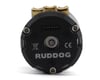 Image 3 for Ruddog RP540 Fixed Timing Sensored Brushless Motor (10.5T)