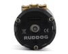 Image 2 for Ruddog RP540 Fixed Timing Sensored Brushless Motor (13.5T)