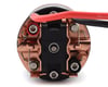 Image 2 for Ruddog 3-Slot Brushed Crawler Motor (35T)