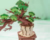 Image 3 for Robotime Evergreen Pine Bonsai DIY Miniature 3D Wooden Model Kit