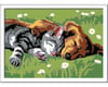 Image 2 for Ravensburger CreArt Sleeping Cat & Dog Paint By Numbers (5x7)