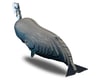 Image 2 for Safari EUGY Sperm Whale 3D Model Kit