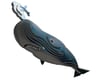 Image 3 for Safari EUGY Sperm Whale 3D Model Kit