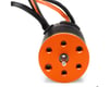 Image 7 for Spektrum RC Firma Brushless Motor & ESC 2-in-1 Combo (2800Kv)