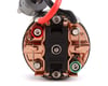 Image 2 for Spektrum RC Firma 5-Pole 540 Crawling Motor (16T)