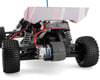 Image 5 for Traxxas Bandit 1/10 RTR 2WD Electric Buggy (Red)