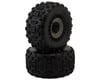 Image 1 for Traxxas Sledgehammer 3.8" Pre-Mounted Monster Truck Tires (Black/Grey) (2)