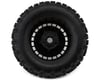 Image 2 for Traxxas Sledgehammer 3.8" Pre-Mounted Monster Truck Tires (Black/Grey) (2)