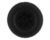 Image 2 for Traxxas Pre-Mounted 1.0" Canyon Trail Tires (2) (TRX-4M)
