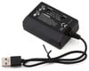 Image 1 for UDI RC Inkfish Balance Charger