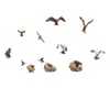 Image 1 for Woodland Scenics HO Scale Birds & Nests Micro Figures