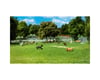 Image 2 for Woodland Scenics HO Scale Dog Pack Micro Figures