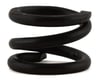 Image 1 for XRAY XB4 2022 Carpet Slipper Clutch Spring (Black)