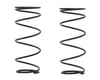 Image 1 for XRAY 49mm Big Bore Front Conical Spring Set (2) (2 Dot)