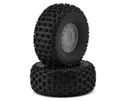 more-results: This is a Arrma dBoots 'Fortress' Pre-Mounted Tire Set, intended for use with the Moja
