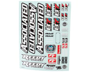 more-results: Team Associated RC10B7/RC10B7D Decal Sheet