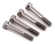 Avid RC TLR 8ight X Titanium Lower Shock Screws | product-related