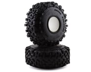 Axial Interco TSL Bogger 2.2" Tires (2) (SBR45) | product-related