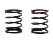 more-results: Axon World Spec HLS Touring Car Shock Springs will help you realize the full potential