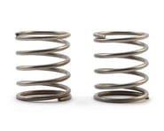Axon World Spec SH Touring Car Shock Spring (C2.5) (2) (Silver) | product-also-purchased