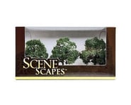 more-results: This is a pack of three Bachmann 3-3.5" Scenescapes Oak Trees. Bring your urban or cou