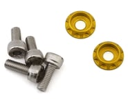 more-results: Motor Washer &amp; Screws Overview: Upgrade your RC racing setup with Team Brood's 3mm