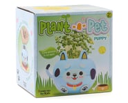 more-results: Craft Kit Overview: This is the Plant-a-Pet Puppy Craft Kit from Creativity For Kids. 