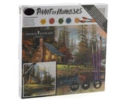 more-results: Paint-By-Number Overview: This is the A Peaceful Retreat Paint-By-Number kit from Cobb