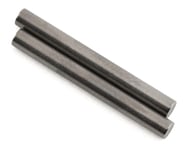 Custom Works Titanium Rear Outer Hinge Pin (2) | product-also-purchased
