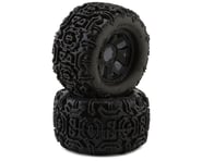 more-results: Tire Overview: This is the Warthog MT 3.8" Pre-Mounted Truck Tires from DuraTrax. Thes