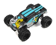 more-results: This is the ECX Ruckus 1/24 Scale RTR 4WD Micro Monster Truck, with an included 2.4GHz