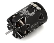 more-results: Motor Overview: This is the Phoenix Gold Spec Brushless Carpet&nbsp;Motor from Team Ex
