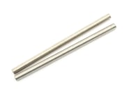 more-results: This is a Pair of Stock Replacement Hing Pin Shafts for the HPI Savage. These hold the