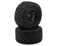 more-results: JConcepts G-Locs Pre-Mounted Monster Truck Tires w/Hazard Wheel (Black) (2) (Platinum)