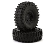 more-results: Tires Overview: JConcepts The Hold 1.0" Pre-mounted Micro Crawler Tires with Glide 5 W