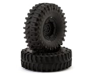 more-results: Tires Overview: JConcepts The Hold 1.0" Pre-mounted Micro Crawler Tires with Crusher W