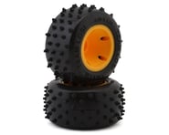 more-results: Tire Overview: Losi Losi Mini JRXT Pre-Mounted Rear 6 Row Tire Set. These are a replac