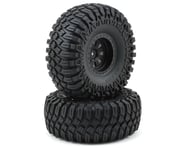 more-results: Losi Maxxis Creepy Crawler LT 2.2" Pre-Mounted Tire &amp; Wheel. Package includes two 