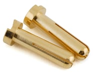 more-results: Motiv&nbsp;4mm Ultra Bullet Plugs. These bullet plugs offer a secure, low resistance c