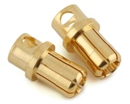 more-results: Motiv 8mm Ultra Bullet Plugs. These bullet plugs offer a secure, low resistance connec