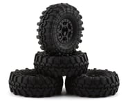 more-results: The Pro-Line SCX24 1.0" Interco Super Swamper TSL SX Pre-Mounted Tires with Holcomb Wh