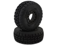 more-results: Pro-Line Mirage TT 2.2/3.0" Belted Short Course Truck Tires (2) (Medium)