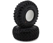 more-results: Pro-Line Aztek LP 2.2" 1/10 Rock Crawler Tires w/Memory Foam (2) (G8)