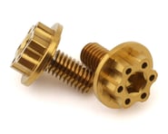 more-results: RC Project Titanium "Grade 5" (Limited Edition Gold) Clutch Retaining Allen Screws. Co