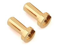 Ruddog 4mm Gold Male Bullet Plug (2) (12mm Long) | product-related
