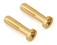 Ruddog 4mm Gold Male Bullet Plug (2) (10mm Long) | product-related