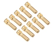 more-results: This is a pack of ten Ruddog 5mm Gold Cooling Head Bullet Plugs. This product was adde