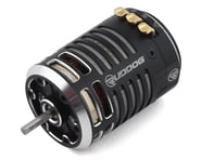 Ruddog RP541 540 Sensored Modified Brushless Motor (5.5T) | product-related