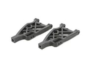 Redcat 510132 Lower Arms TR-MT10E (2) | product-also-purchased