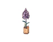 more-results: ROWOOD Lilac This product was added to our catalog on March 4, 2024